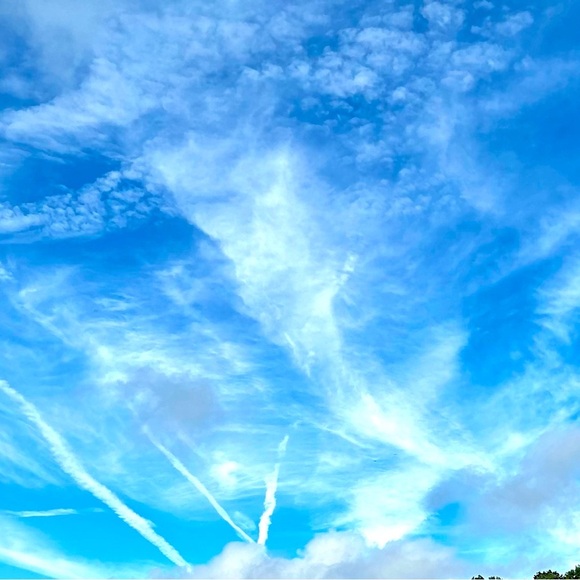 Meet your Posher, Jessica - Picture 1 of 1